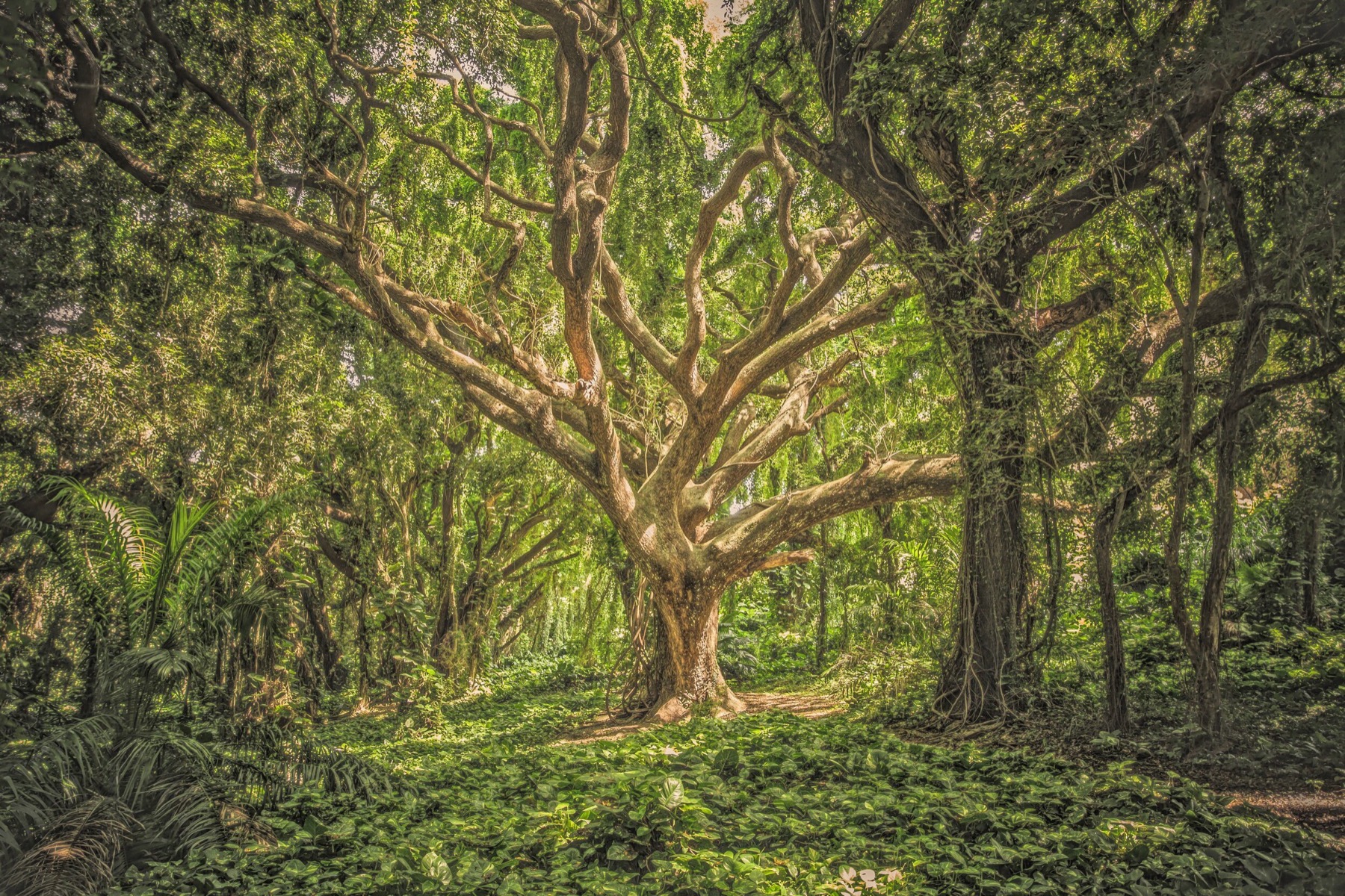 Landscape photo enhanced with Relight