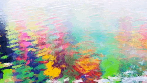 Video painting animation created with Brushstroke