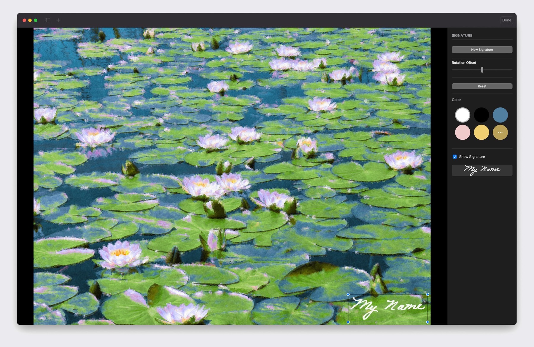 Signature tool in Brushstroke Pro